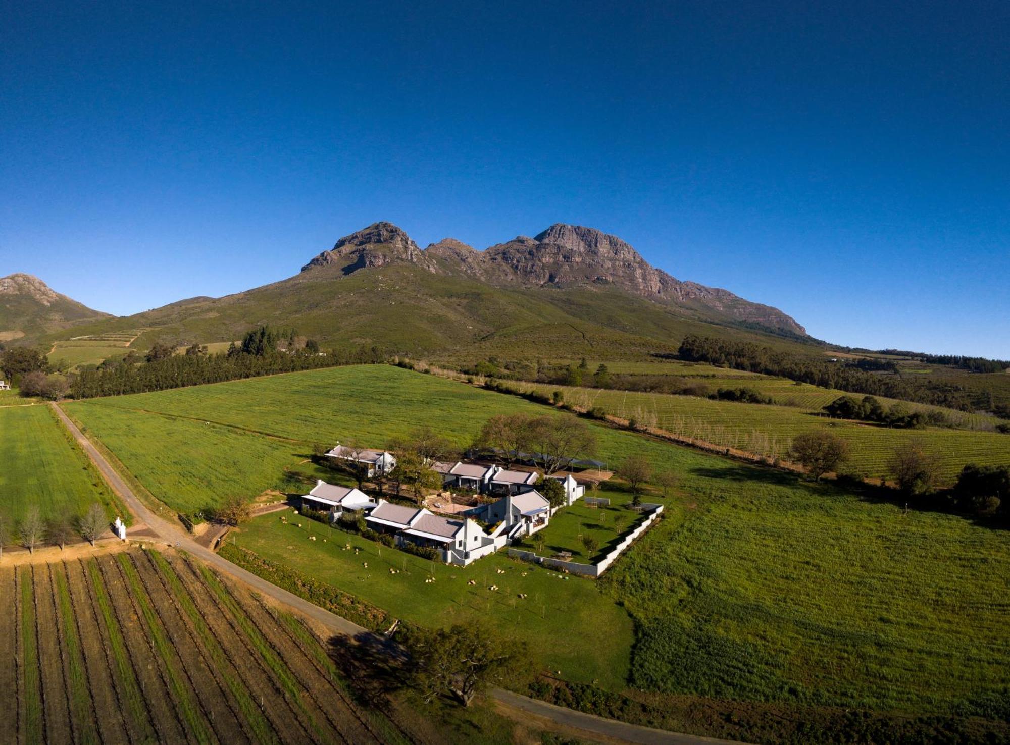 Mont Angelis Lejlighedshotel Stellenbosch Eksteriør billede